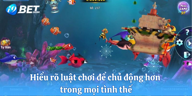 Hiểu rõ luật chơi để chủ động hơn trong mọi tình thế